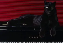 animals panthers black panther 1920x1200 wallpaper Art HD Wallpaper